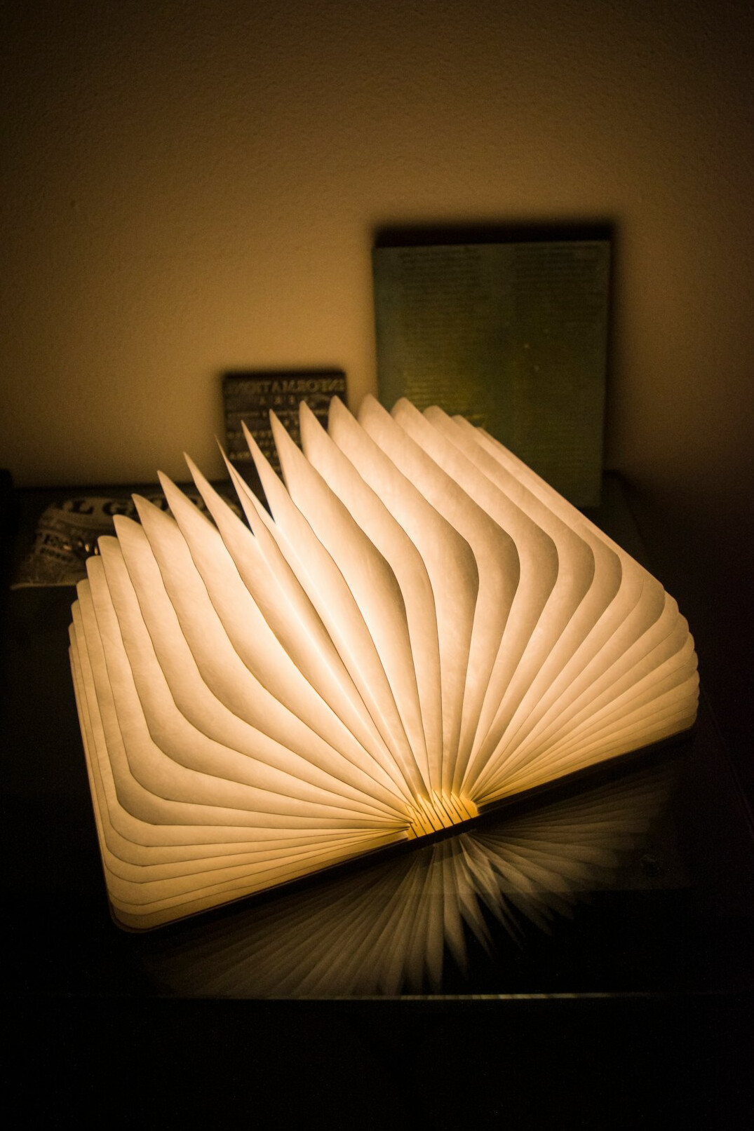 Open book on a desk illuminated by a warm desk lamp